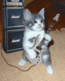 /album/fotos/gatinhos-793612328-0042-copia-2-gif/